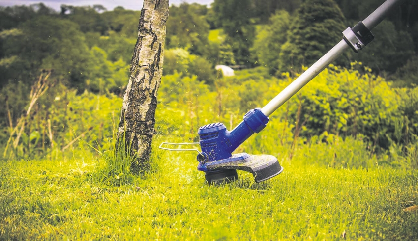 Second hand online strimmers